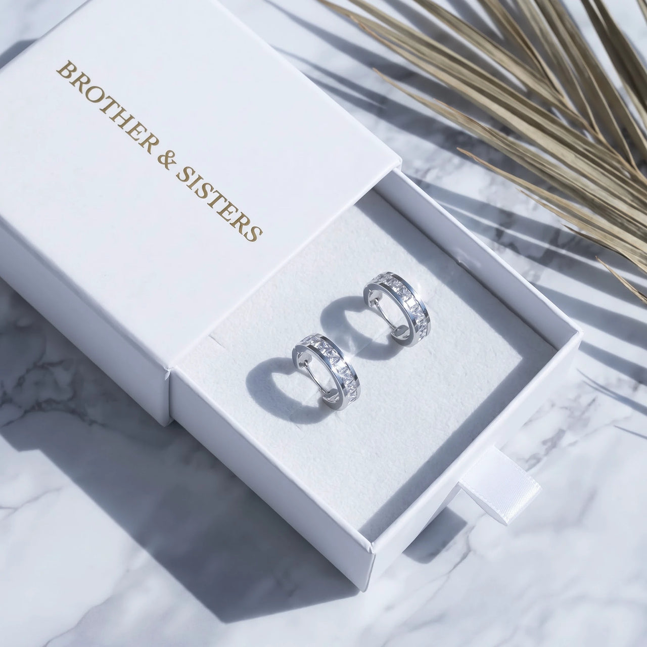 Stainless steel earrings — in the gift box, silver | SKU: 22023999-rhodium